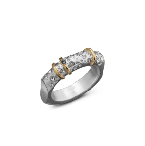 Ring  DP014 Dietmar Fröhlich