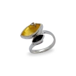 Ring  DP004 Dietmar Fröhlich