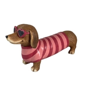 Jamnik w stroju kąpielowym 