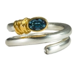 Ring  DP008 Dietmar Fröhlich