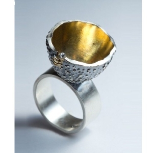 Ring  DP003 Dietmar Fröhlich