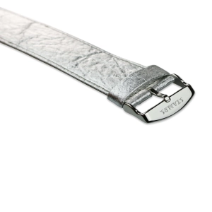 Pineapple_Silver_3-scaled.jpg