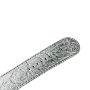 Pineapple_Silver_4-scaled.jpg