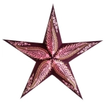 Weihnachtsstern siluett berry